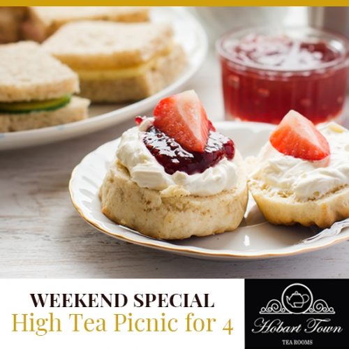 HTTR HT Picnic for 4