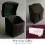 Peter Lane Document Box details