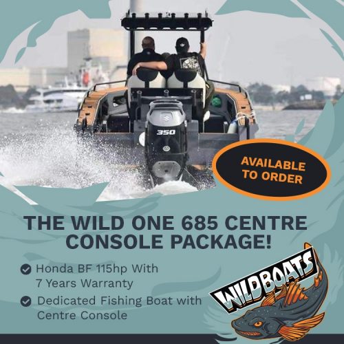 Wild One 685 CC