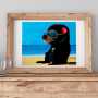 Tassie Devil Beach Visual