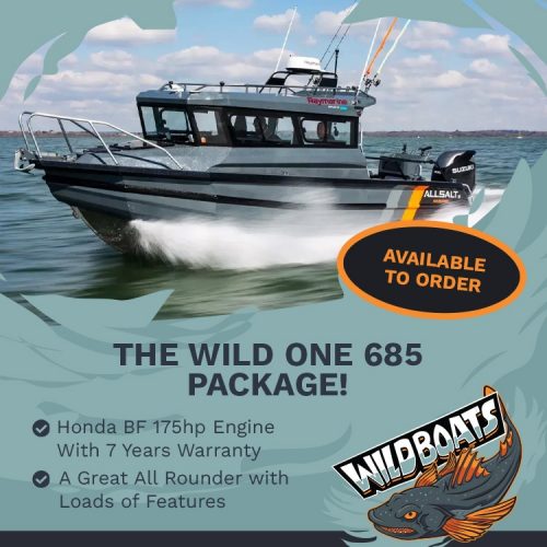 Wild One 685